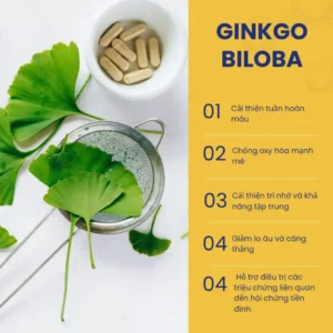 Ginkgo Biloba Chua Nhieu Hop Chat Giuo Cai Thien Tuan Hoan Mau Va Bao Ve Te Bao Khoi Tac Hai Cua Cac Goc Tu Do