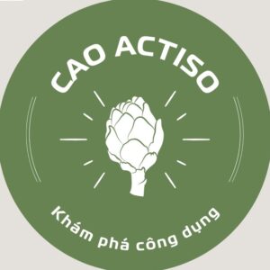 Công Dụng Của Cao Actiso