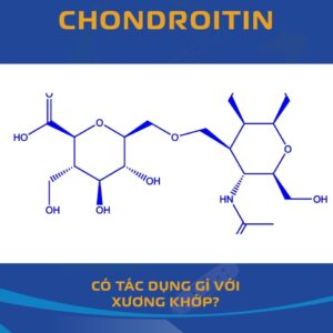 Chondroitin Sulfate Có Tác Dụng Gì