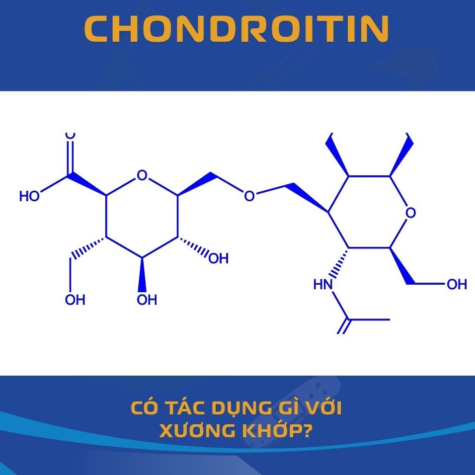 Chondroitin Sulfate Có Tác Dụng Gì