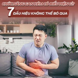 Chuc Nang Gan Kem