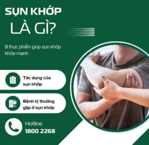 Sụn Khớp Là Gì