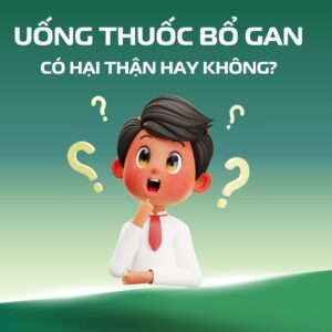 Uống Thuốc Bổ Gan Có Hại Thận Không