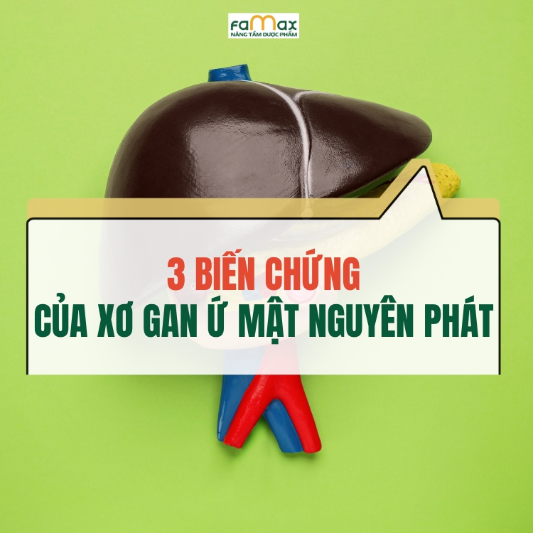 Dinh Thanh (10)