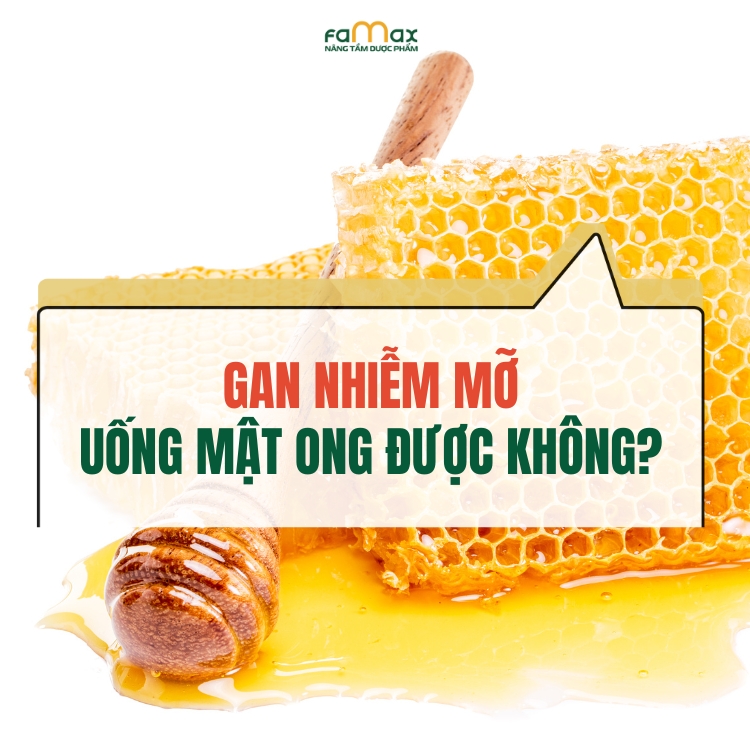 Dinh Thanh (8)