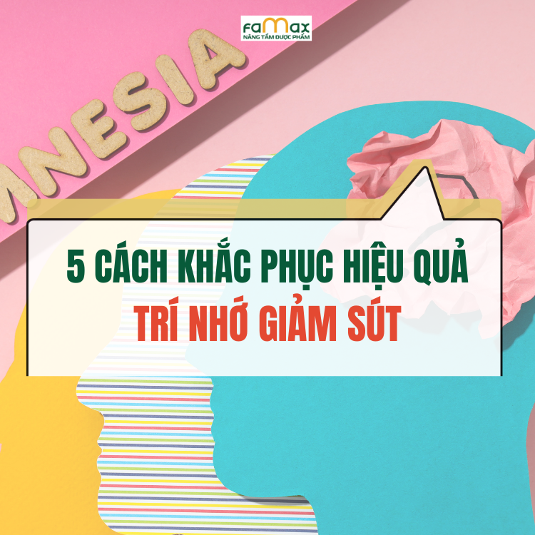 5 Cách Khắc Phục Trí Nhớ Giảm Sút Hiệu Quả