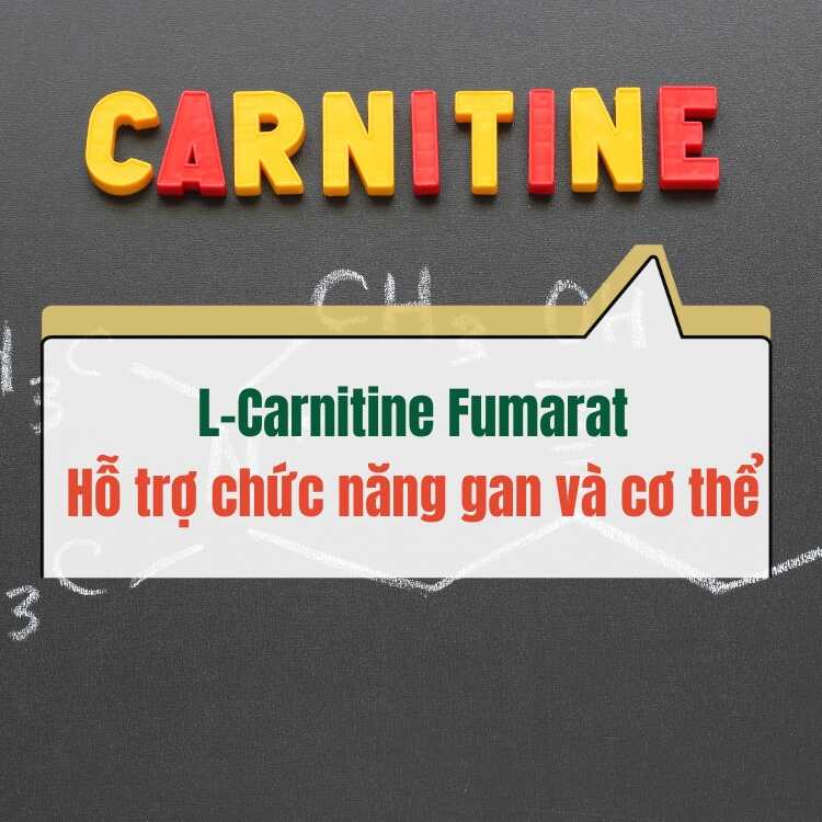 L Carnitine Fumarat Ho Tro Chuc Nang Gan