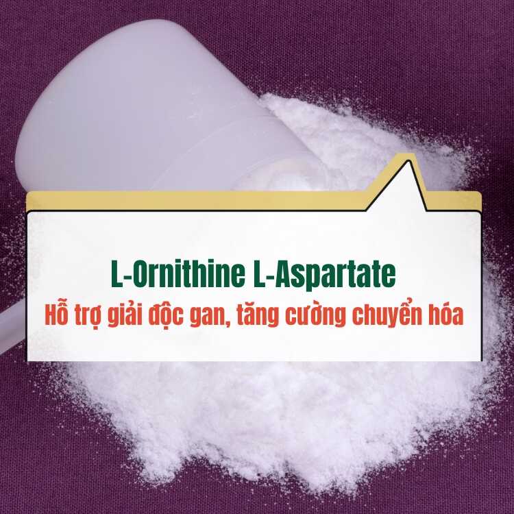 L Ornithine L Aspartate Hop Chat Ho Tro Giai Doc Gan
