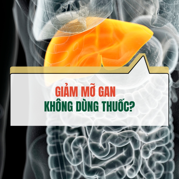 Cach Giam Mo Gan Khong Dung Thuoc Don Gian An Toan Tai Nha 683130936ca0d.webp
