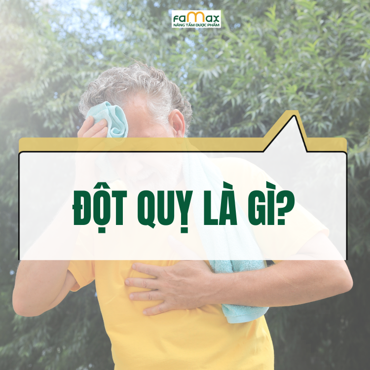 Dot Quy La Gi Nguyen Nhan Va Cach Phong Tranh Hieu Qua 681478c856f96.webp