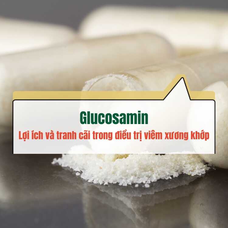 Glucosamin Loi Ich