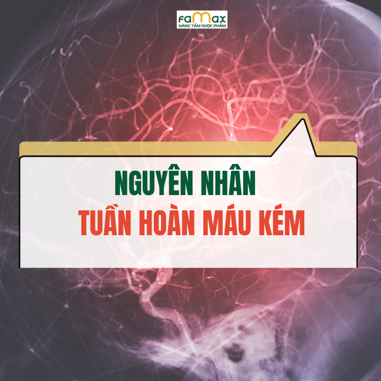 Nguyen Nhan Tuan Hoan Mau Kem La Gi 681447c459ee6.webp