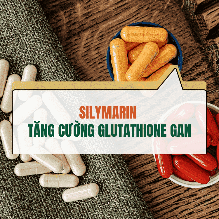 Silymarin Tang Cuong Glutathione Gan Nhu The Nao