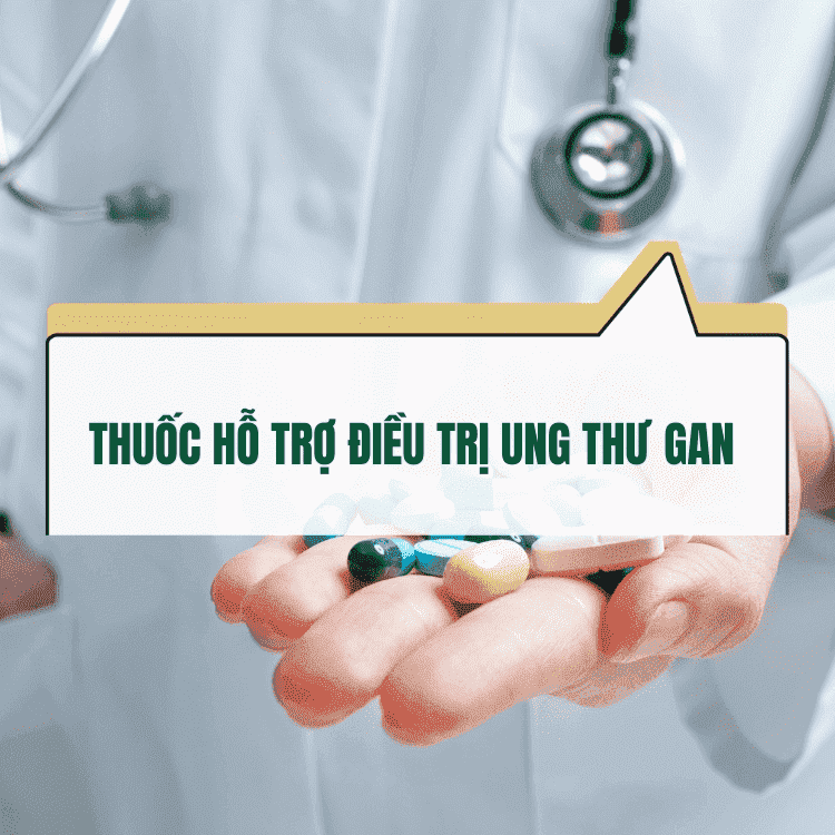 Thuoc Ho Tro Dieu Tri Ung Thu Gan Lua Chon Va Luu Y Optimized