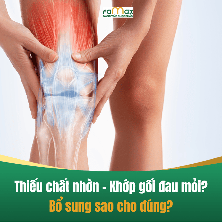 Thuoc Bo Sung Chat Nhon Cho Khop Goi La Gi1