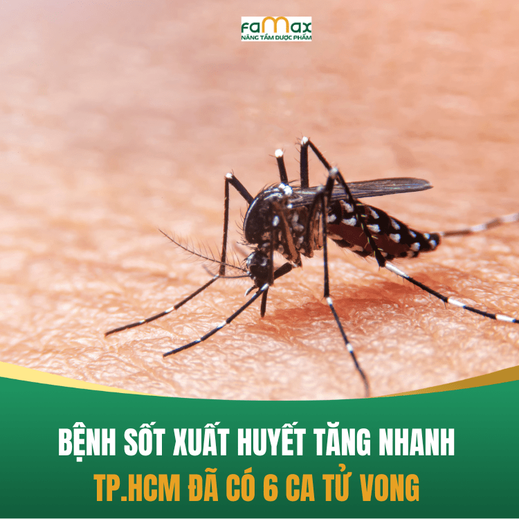 Bệnh Sốt Xuất Huyết 2