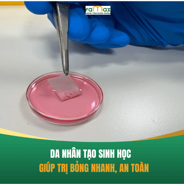 Da Nhân Tạo Sinh Học Giúp Trị Bỏng Nhanh