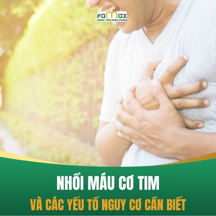 Nhoi Mau Co Tim La Gi Yeu To Nguy Co