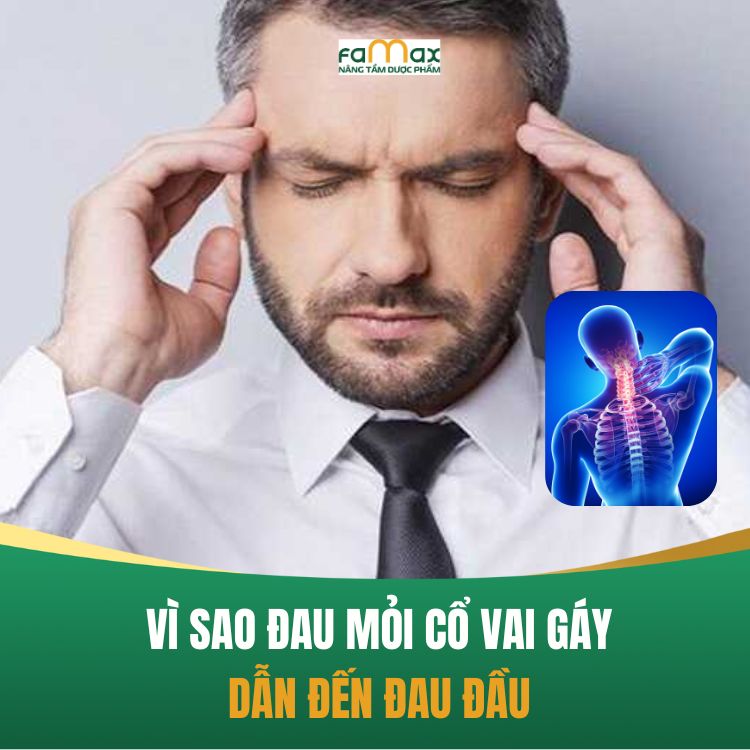 Vi Sao Dau Moi Co Vai Gay Dan Den Dau Dau 68b11738b7370.webp