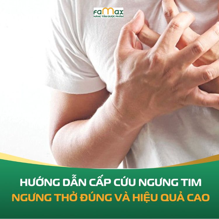 Huong Dan Cap Cuu Ngung Tim Ngung Tho Dung Va Hieu Qua Cao Nhat 68ef63543037d.webp