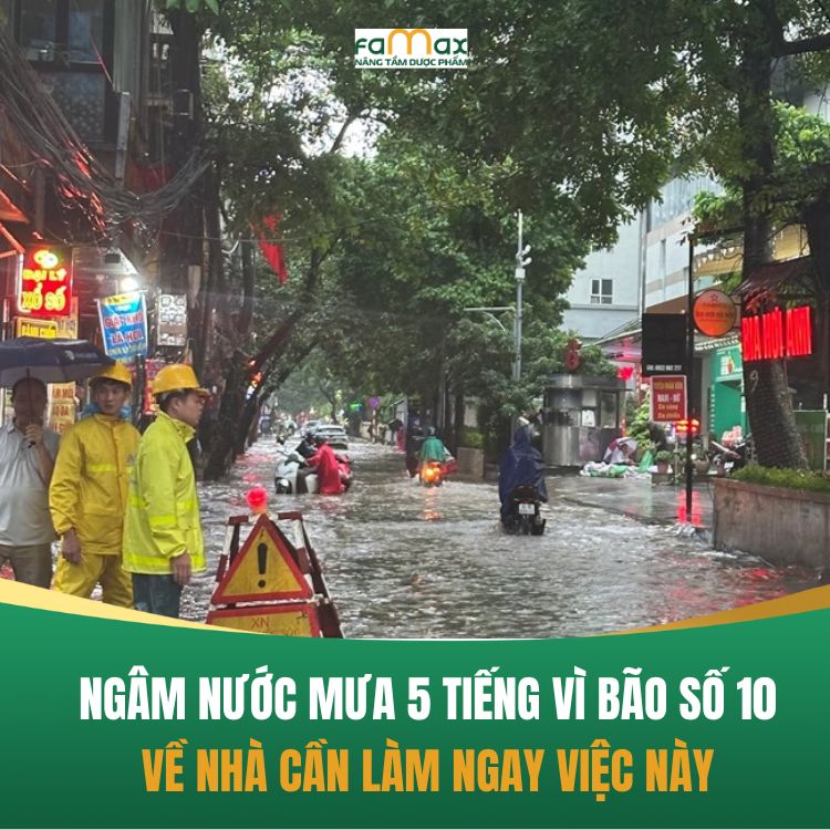 Lut Loi Vi Mua Bao So 10 Ve Nha Can Lam Ngay Viec Nay 68dcd8ac07f8d.webp