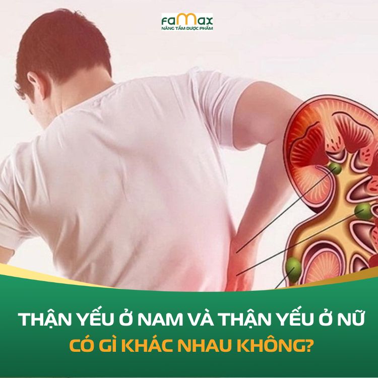 Than Yeu O Nam Va Than Yeu O Nu Co Gi Khac Nhau Khong 68fb3d08bcd88.webp