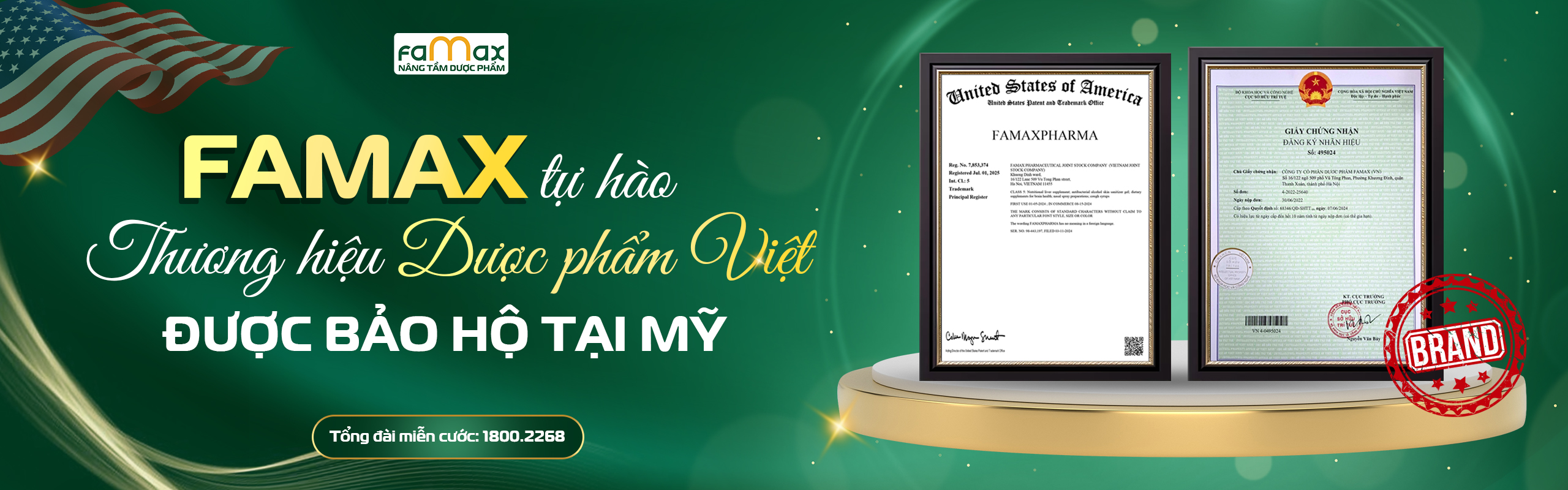 Web Dp Việt Copy