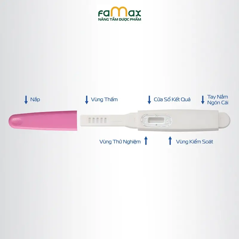 Huong Dan Cach Su Dung But Thu Rung Trung 6954d68b28215.webp