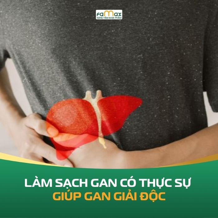 Lam Sach Gan Co Thuc Su Giup Gan Giai Doc 694e01ee4e8cd.webp