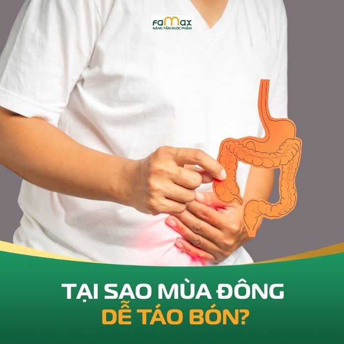 Tai Sao Mua Dong De Tao Bon 694c97dee848f.webp