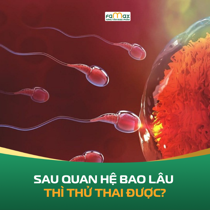 Sau Quan He Bao Lau Thi Thu Thai Duoc 6968712b9be1d.webp