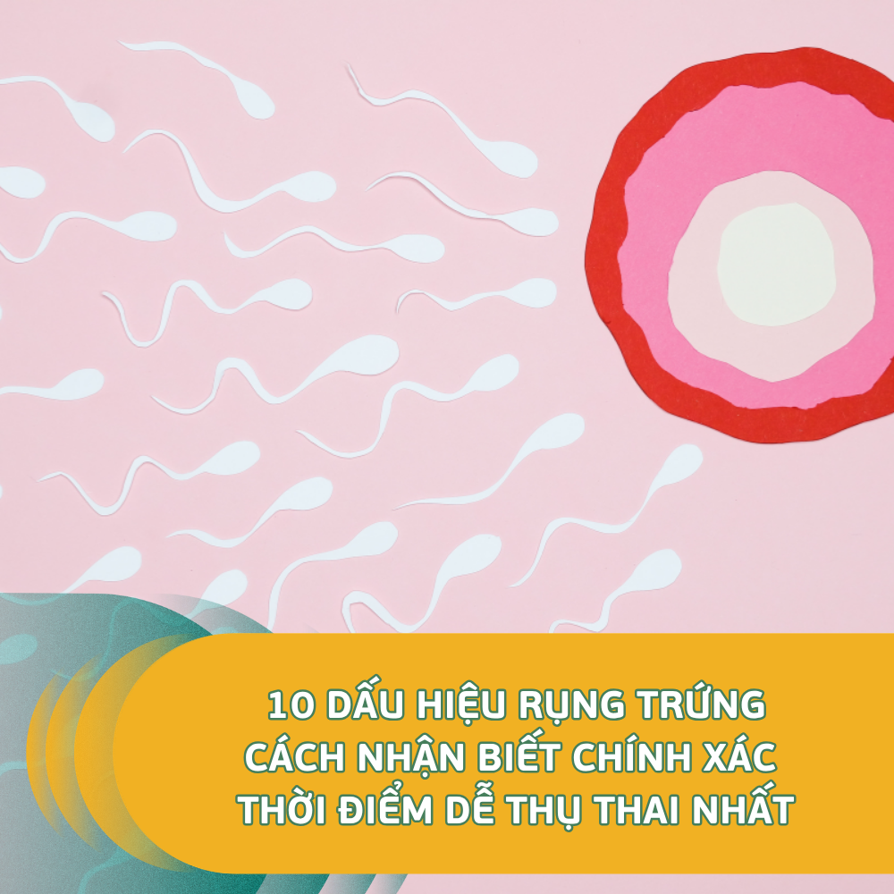 10 Dấu Hiệu Rụng Trứng Cách Nhận Biết Chính Xác Thời Điểm Dễ Thụ Thai Nhất