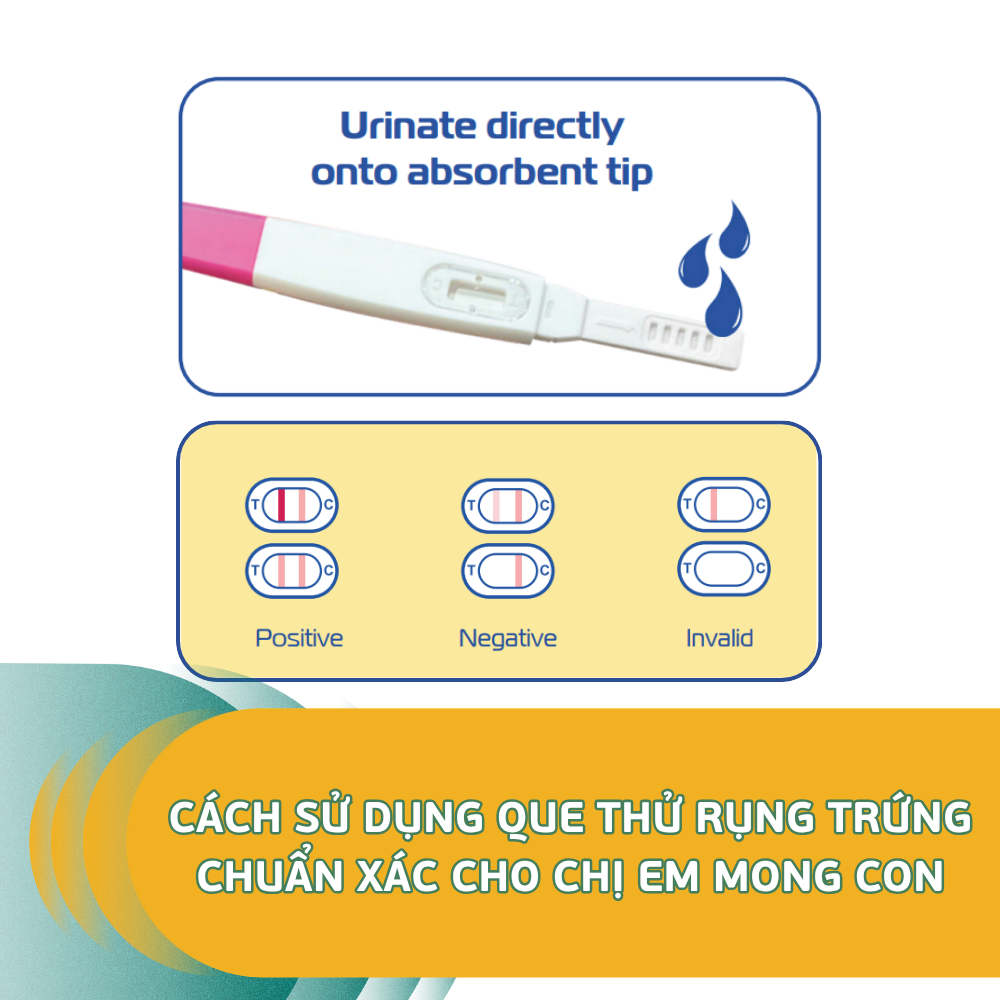 Cách Sử Dụng Que Thử Rụng Trứng Chuẩn Xác Cho Chị Em Mong Con