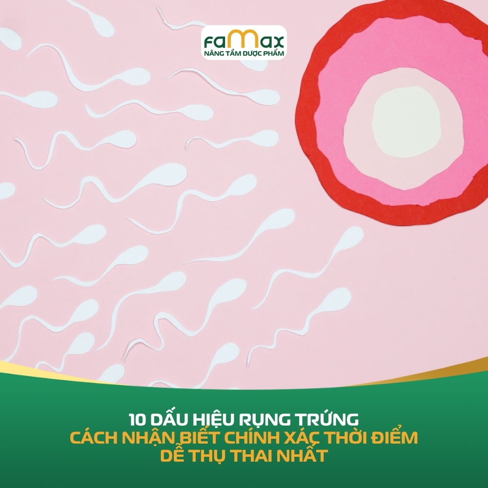 10 Dấu Hiệu Rụng Trứng Cách Nhận Biết Chính Xác Thời Điểm Dễ Thụ Thai Nhất