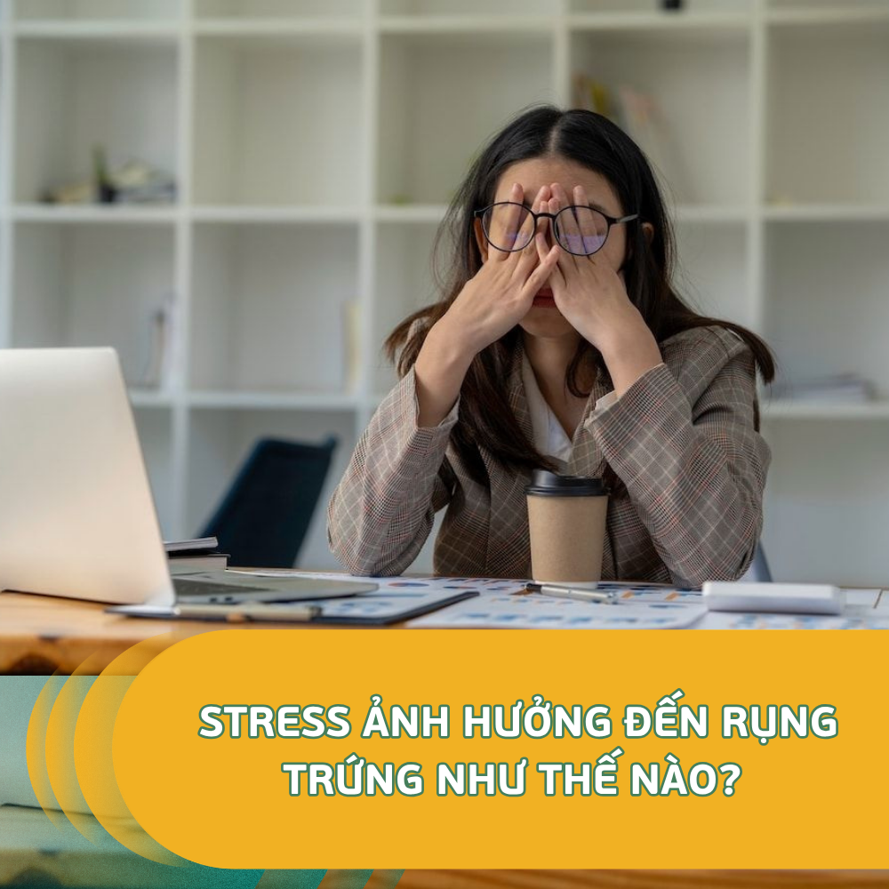 Stress Ảnh Hưởng Đến Rụng Trứng Như Thế Nào 