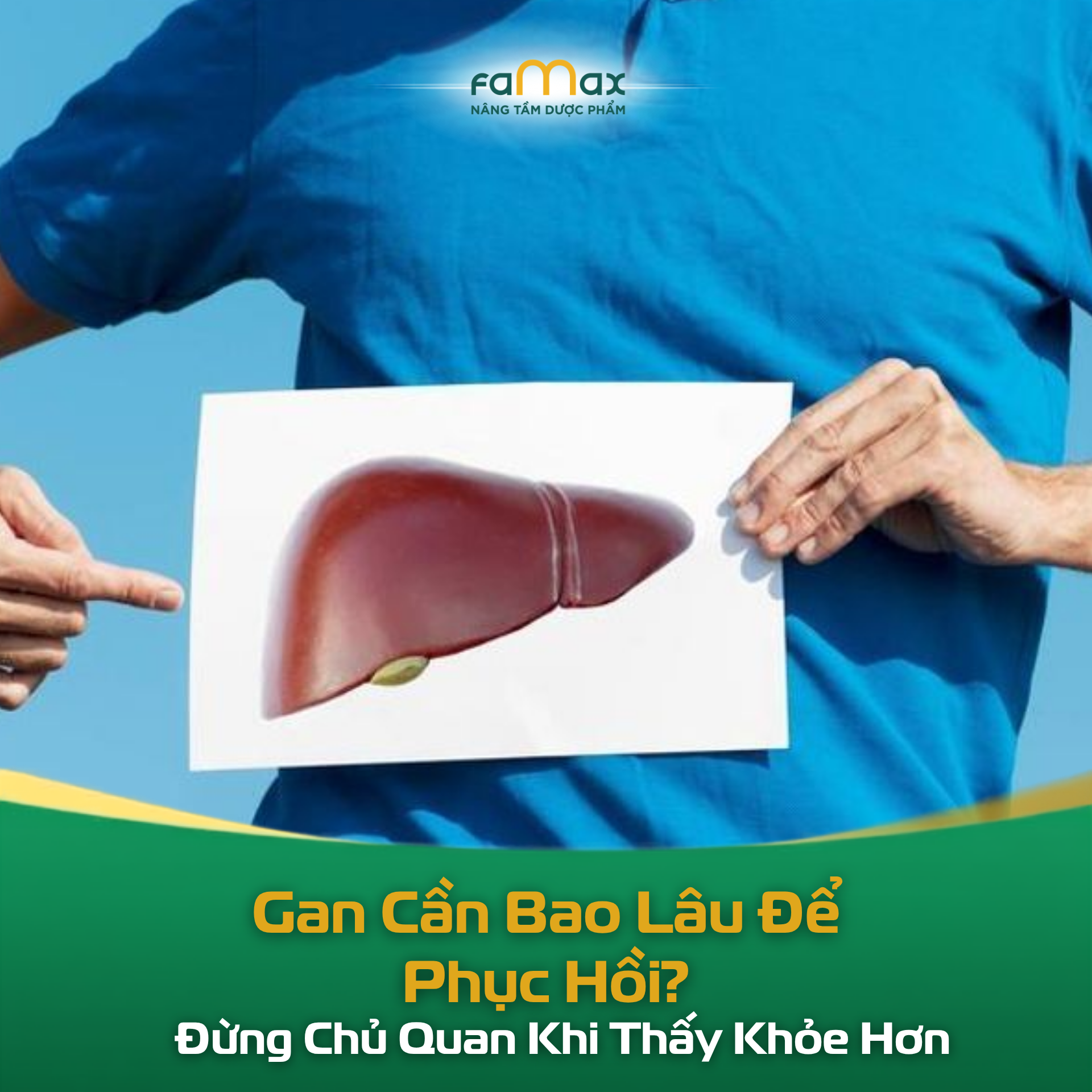 Gan cần bao lâu để phục hồi