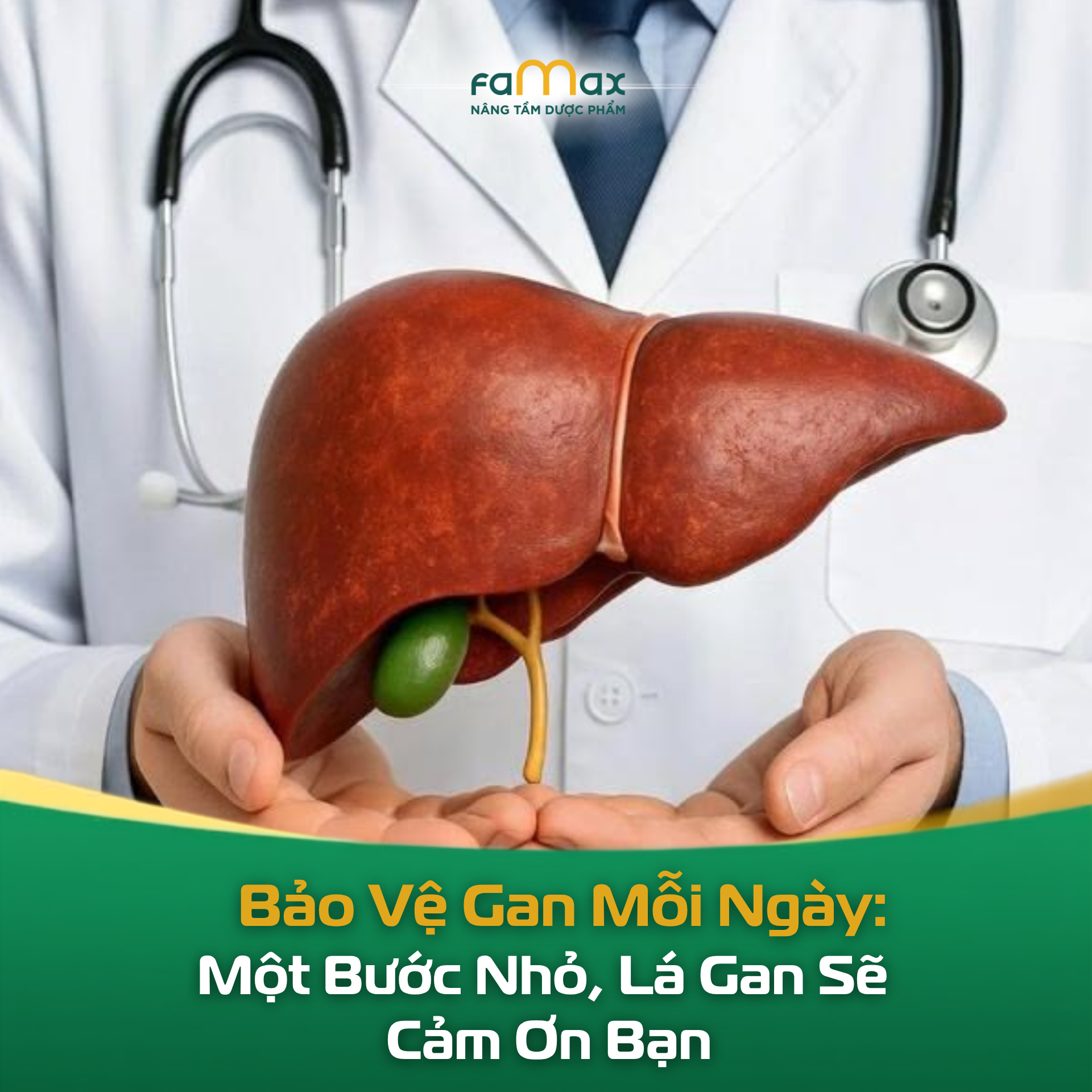 Bảo Vệ Gan Mỗi Ngày